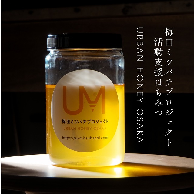 梅田ミツバチプロジェクト活動支援はちみつ1kg