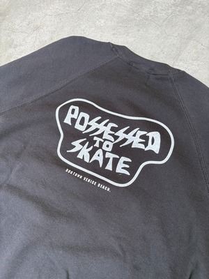 DOG TOWN / POSSESSED TO SKATE CREW SWEAT / DT2411