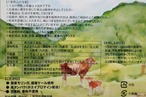 モリンガ de 青汁【定期便】