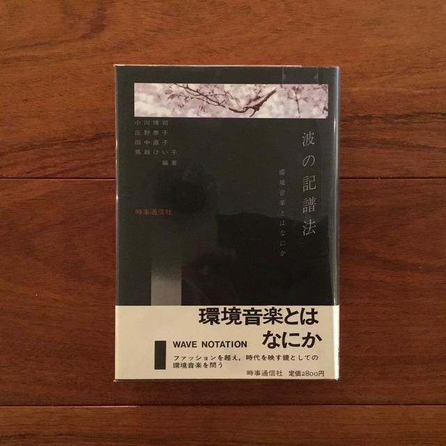 波の記譜法: 環境音楽とはなにか | Flying Books