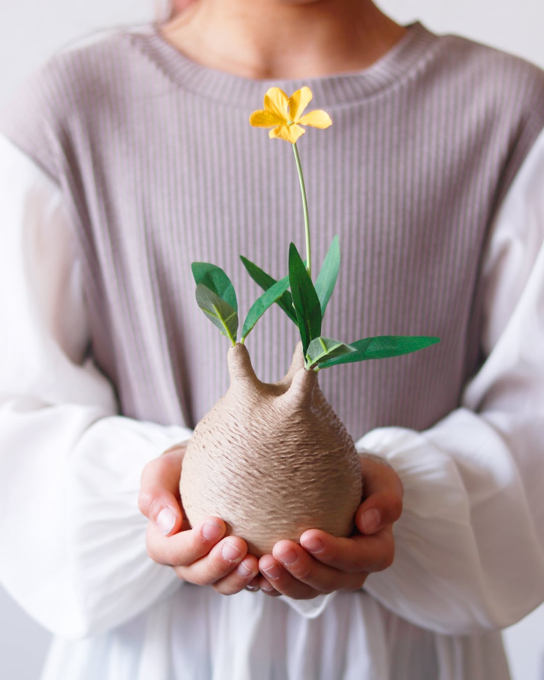 触れたくなるCaudex造形｜パキポディウム グラキリス｜(130x210) Ssize