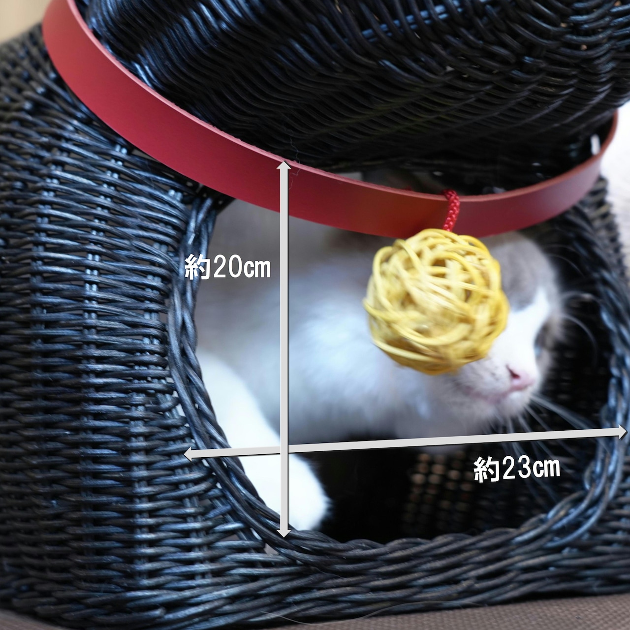 【ご予約者様 専用ページ】猫のかまくらちぐら(ネコぐら)