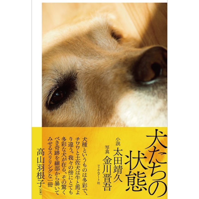 犬たちの状態