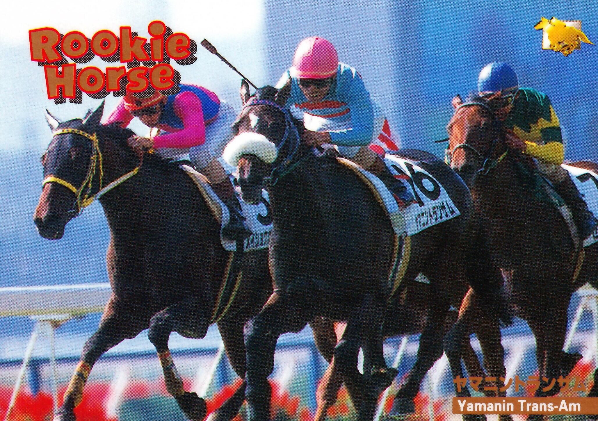 シリウスシンボリ　メモリアル　サラブレッドカード　トレーディングカード シリウスシンボリ「サラブレッドカード 96年上半期版」M-18 | カード