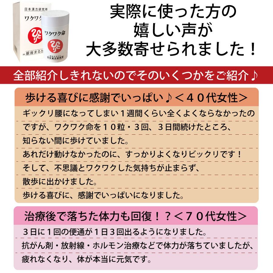 ワクワク命２個　賞味期限24年2月