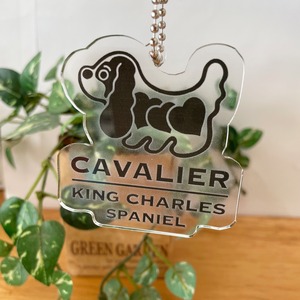 アクリルキーホルダー　(cavalier king charls spaniel)