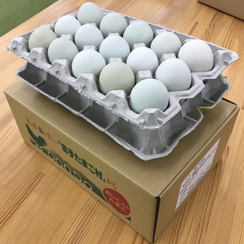 期間限定！！】初産み卵 緑の一番星 30個 | 田子たまご村