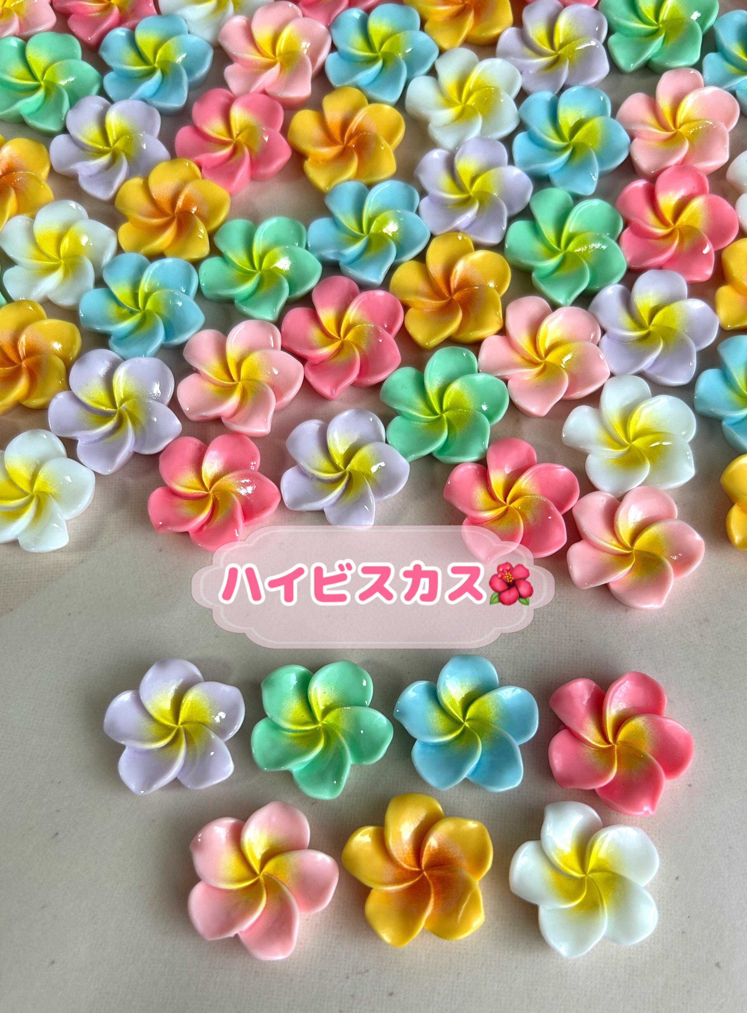 きしもと ひろき様専用 アグラス ラジエーターコアガード YZF-R1-特注