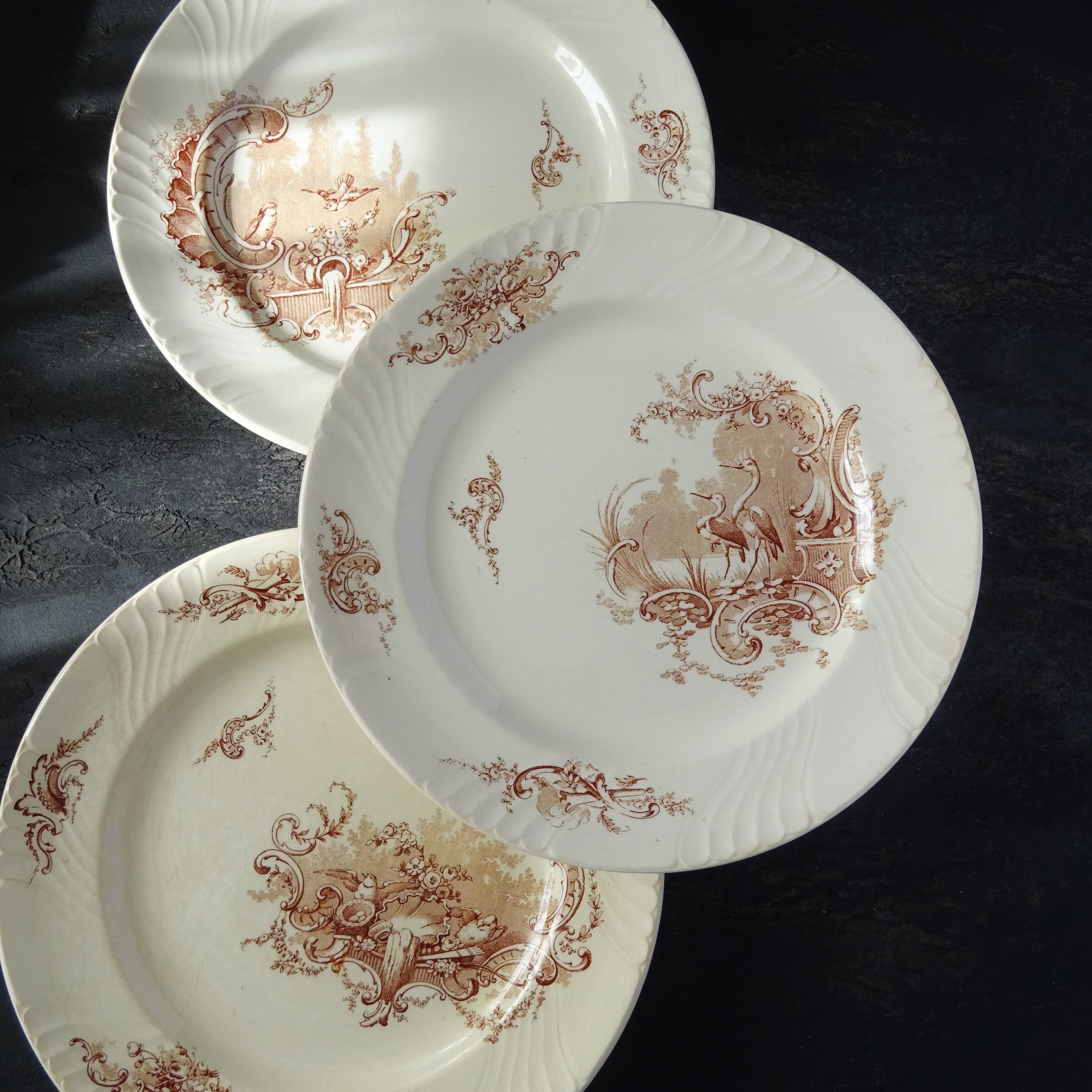 KG Lunéville  modèle《Rocaille》Assiette plate (A)