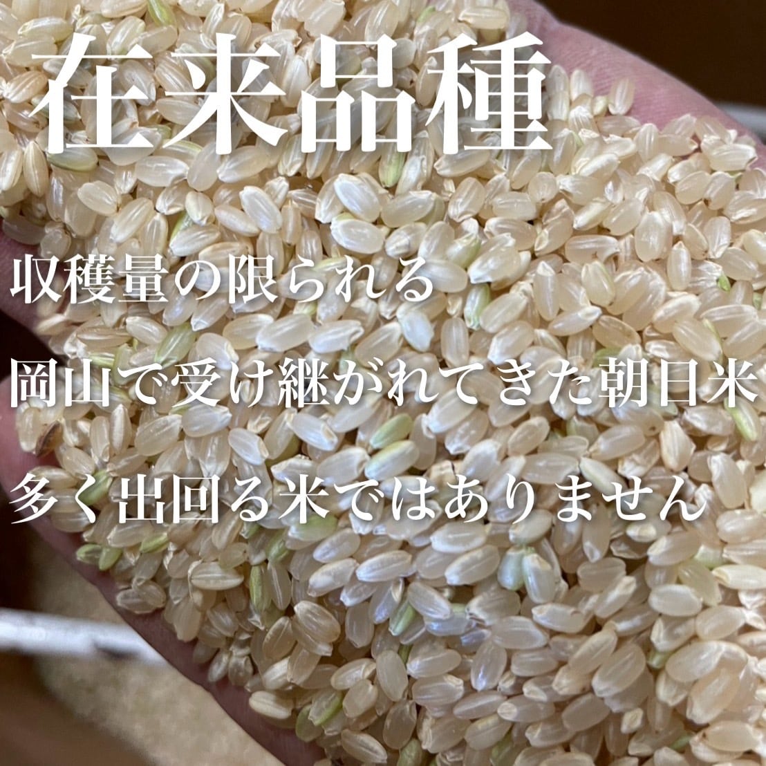 ②令和6年岡山県産　朝日米 玄米10キロ 令和7年度 岡山県産 朝日米 玄米10KG | 令和7年度 新米 | 潤徳米穀店