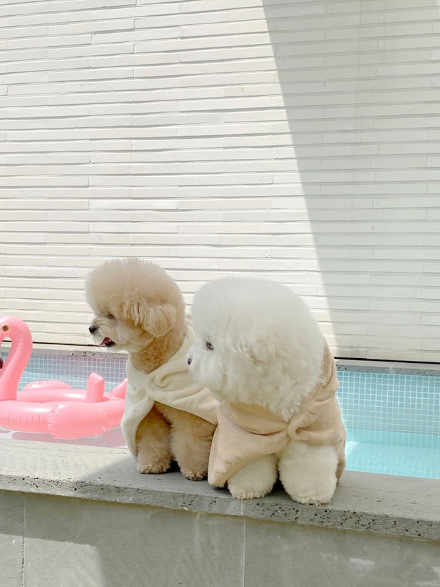 〈 予約アイテム 〉EYOU / テリーローブガウン