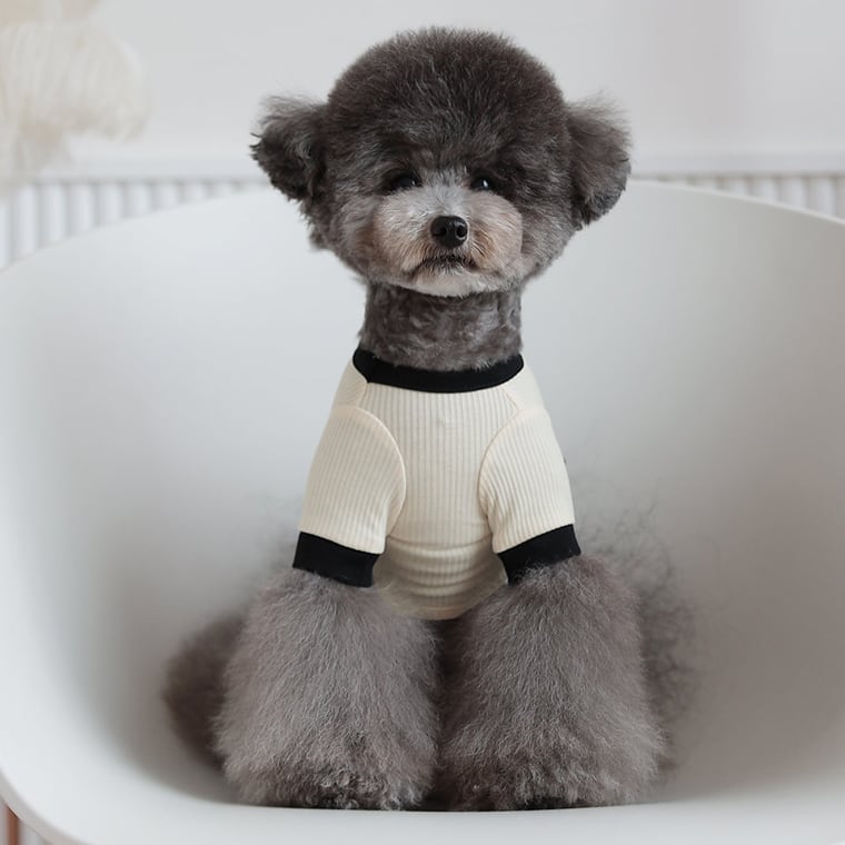 onz ribbon knit t-shirt S ~ XL 4color / 犬服 ニット 可愛い 犬の服 Tシャツ 背中 リボン 重ね着 おしゃれ トップス お揃い ドッグウェア 無地 シンプル 韓国ワンコ服 b54