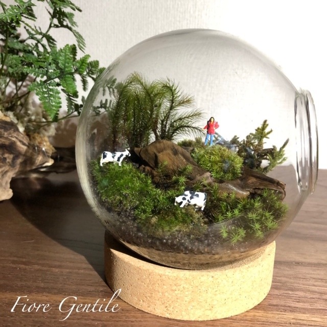 苔テラリウム ハイキング 葉na花 そっと癒しを 苔テラリウム ハイキング 葉na花 そっと癒しを