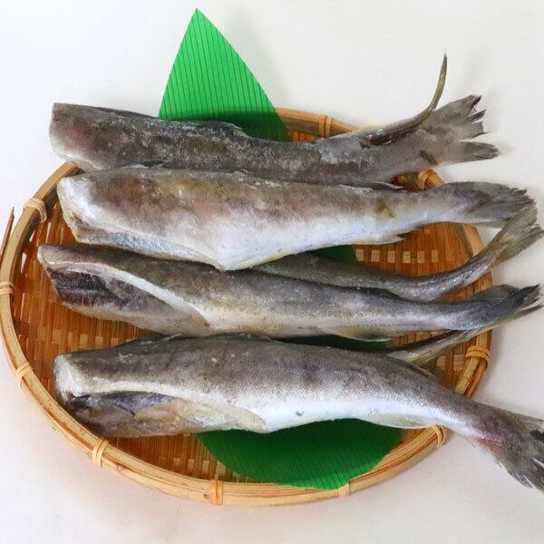 北海道産　一夜干し　こまい　1kg　生干し　氷下魚（こまい）　北海道富良野市　スイートベジタブルファクトリー