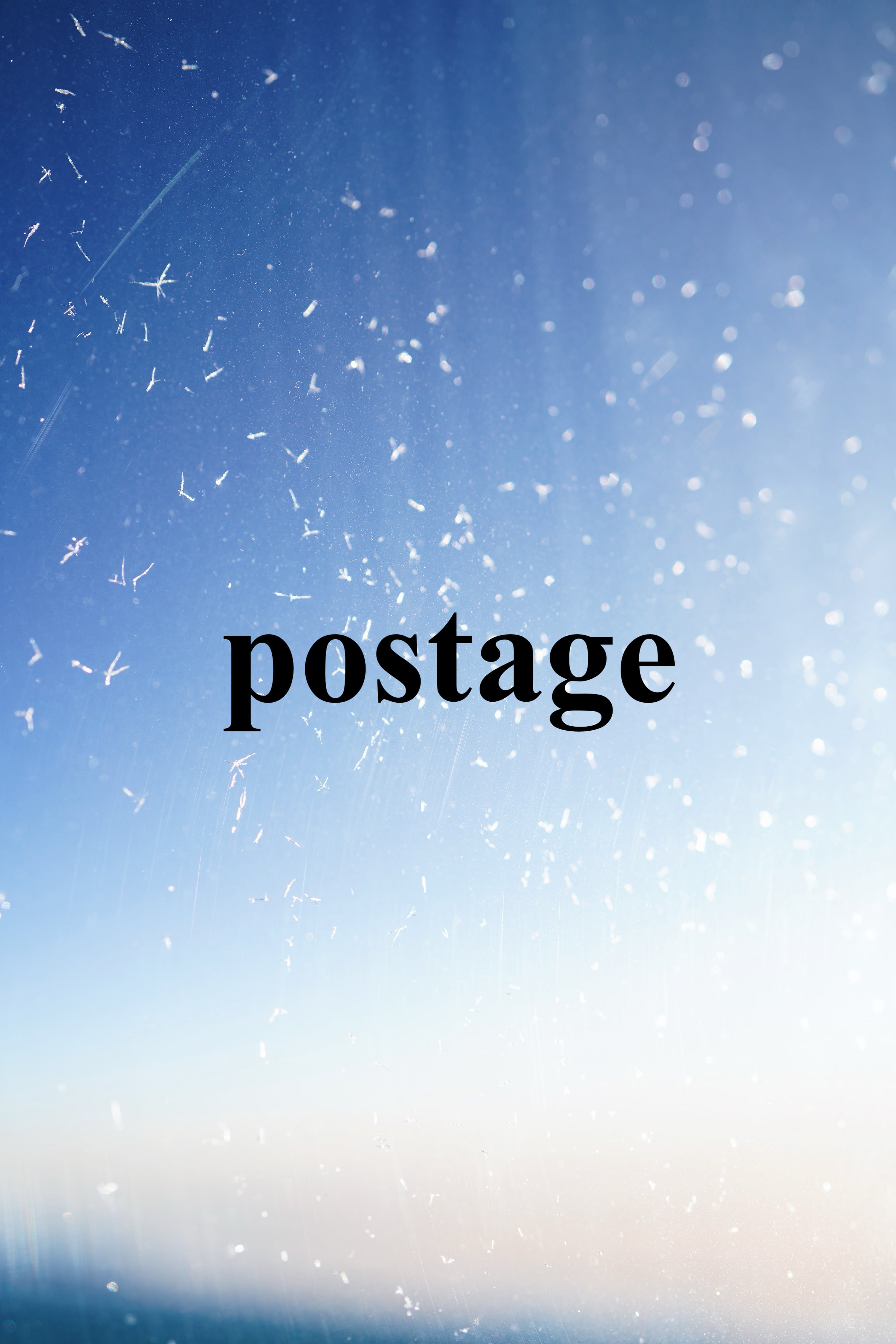 植木鉢 / 阪本健 | hitsujitoyagi