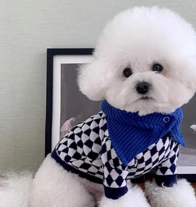 《予約》1102521 ラペルチェックセーター