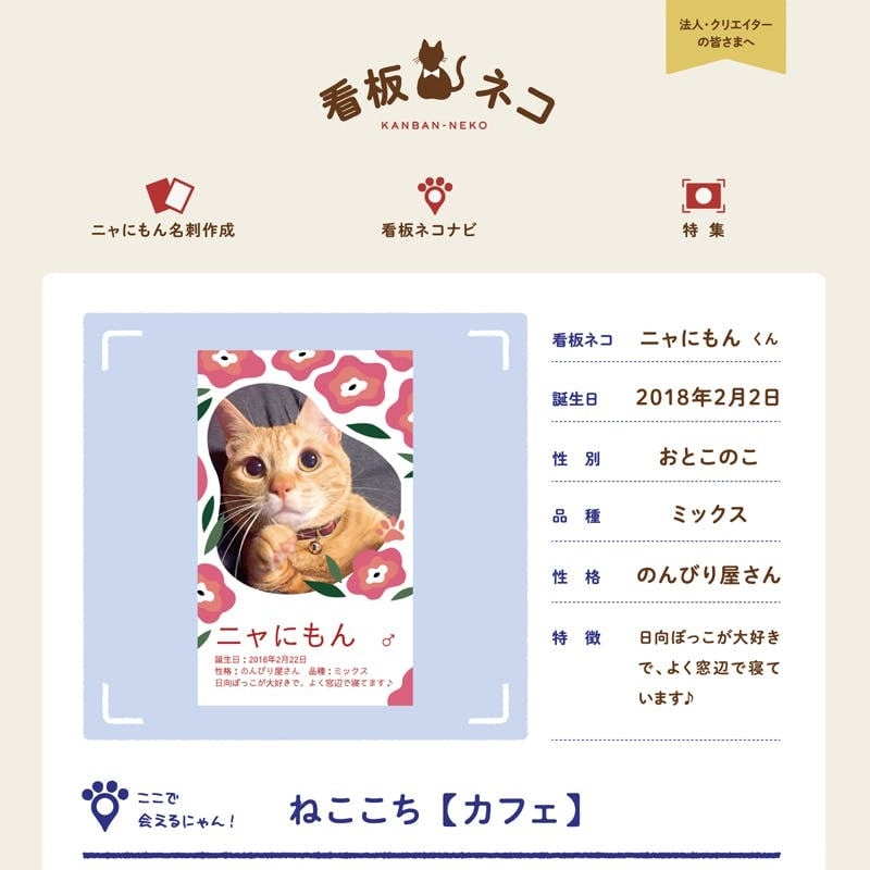 看板ネコ紹介サイトの掲載枠限定】看板ネコちゃんページ修正費