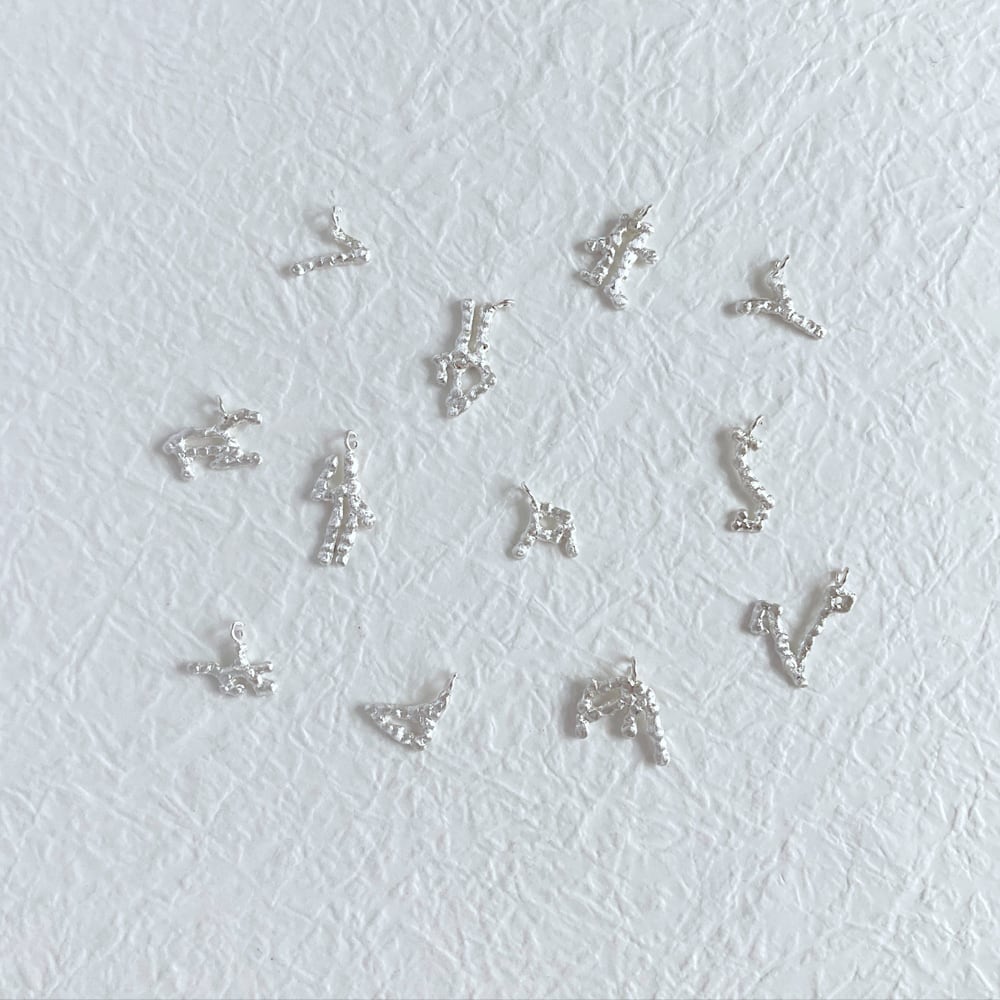 12星座モチーフ銀貨　山羊座 12星座・山羊座のネックレス【Constellations necklace -Capricorn