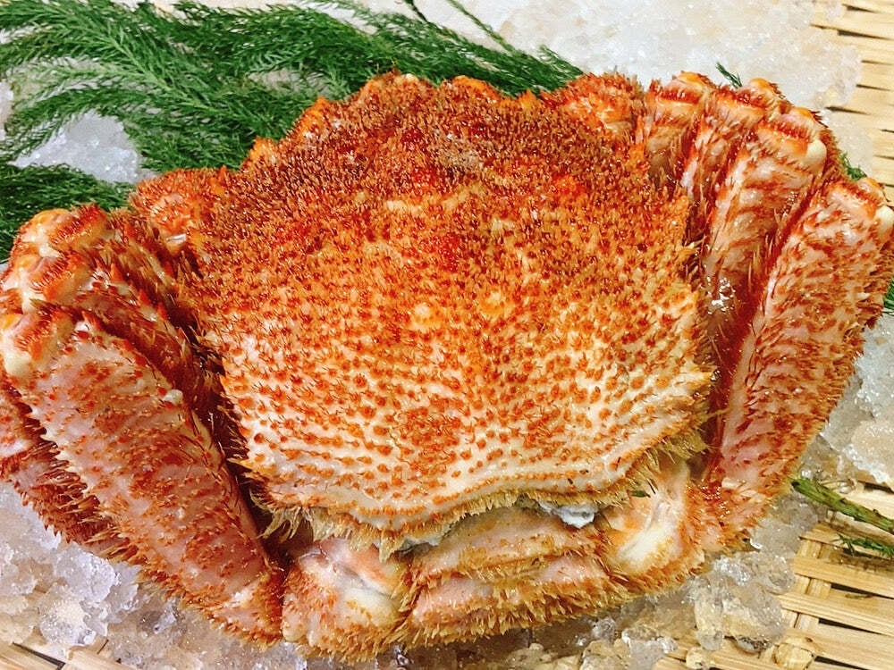 浜茹毛蟹500g(冷凍) | まるひらマルニ商店