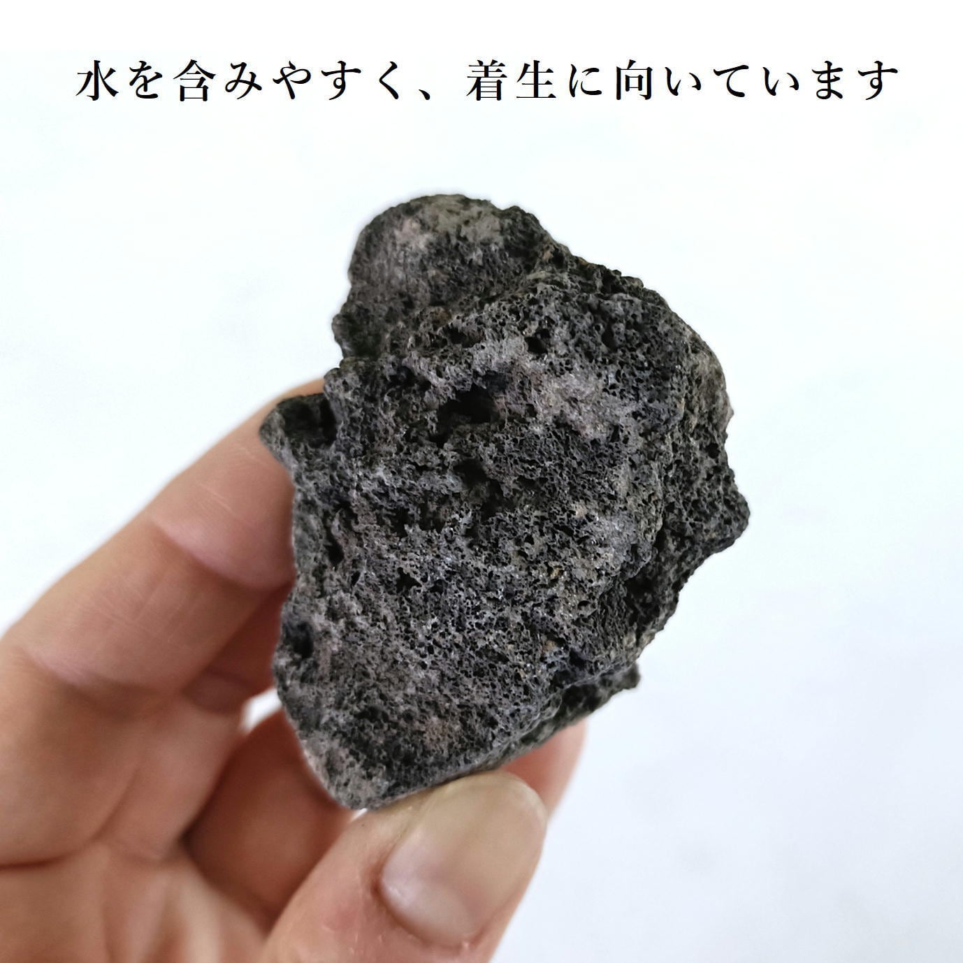 溶岩石 Mサイズ（4〜6㎝）2〜4個入り【レイアウト用・着生用】 | 苔