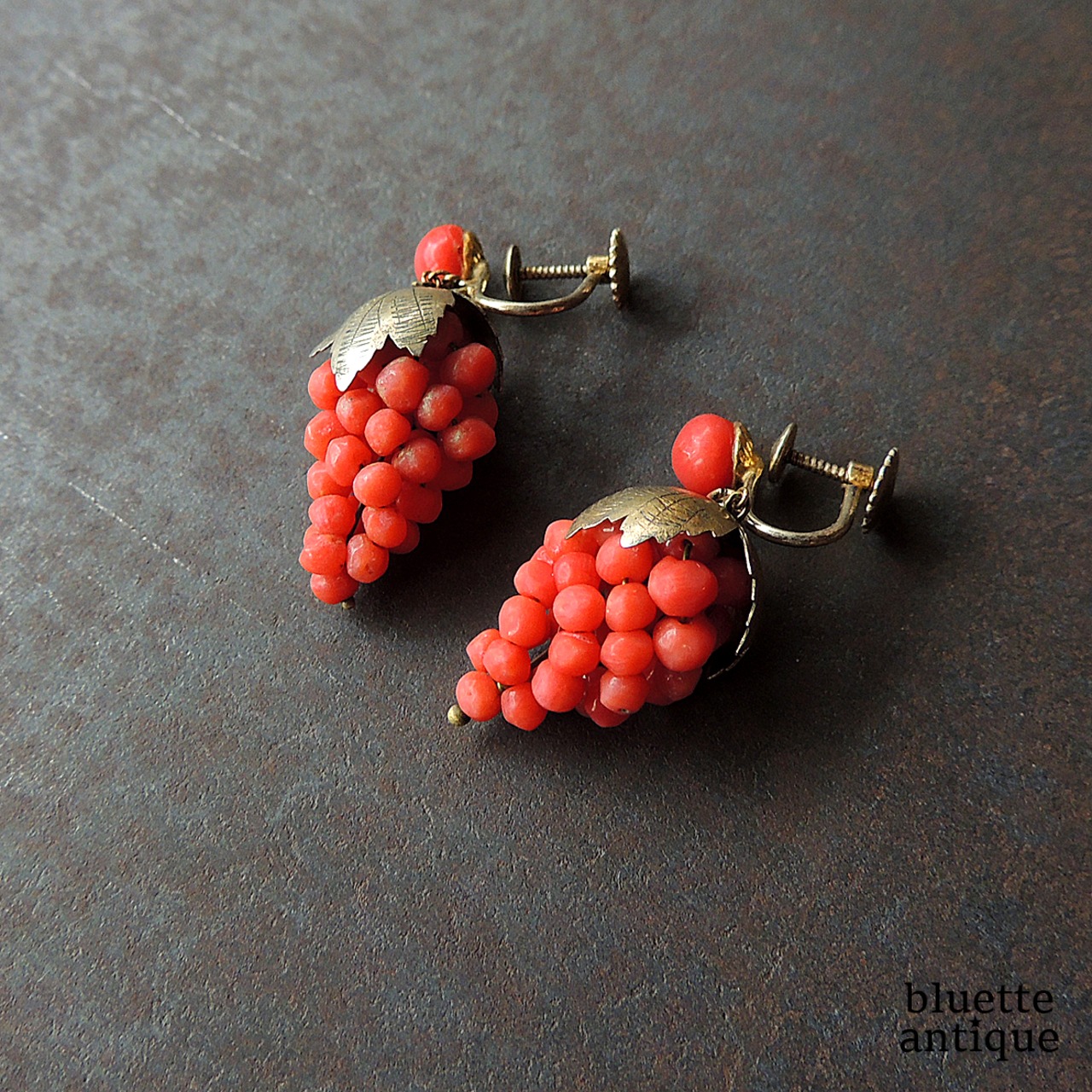 アンティークジュエリー ヴィクトリアン コーラル グレープ イヤリング (ソーティングメモ付)