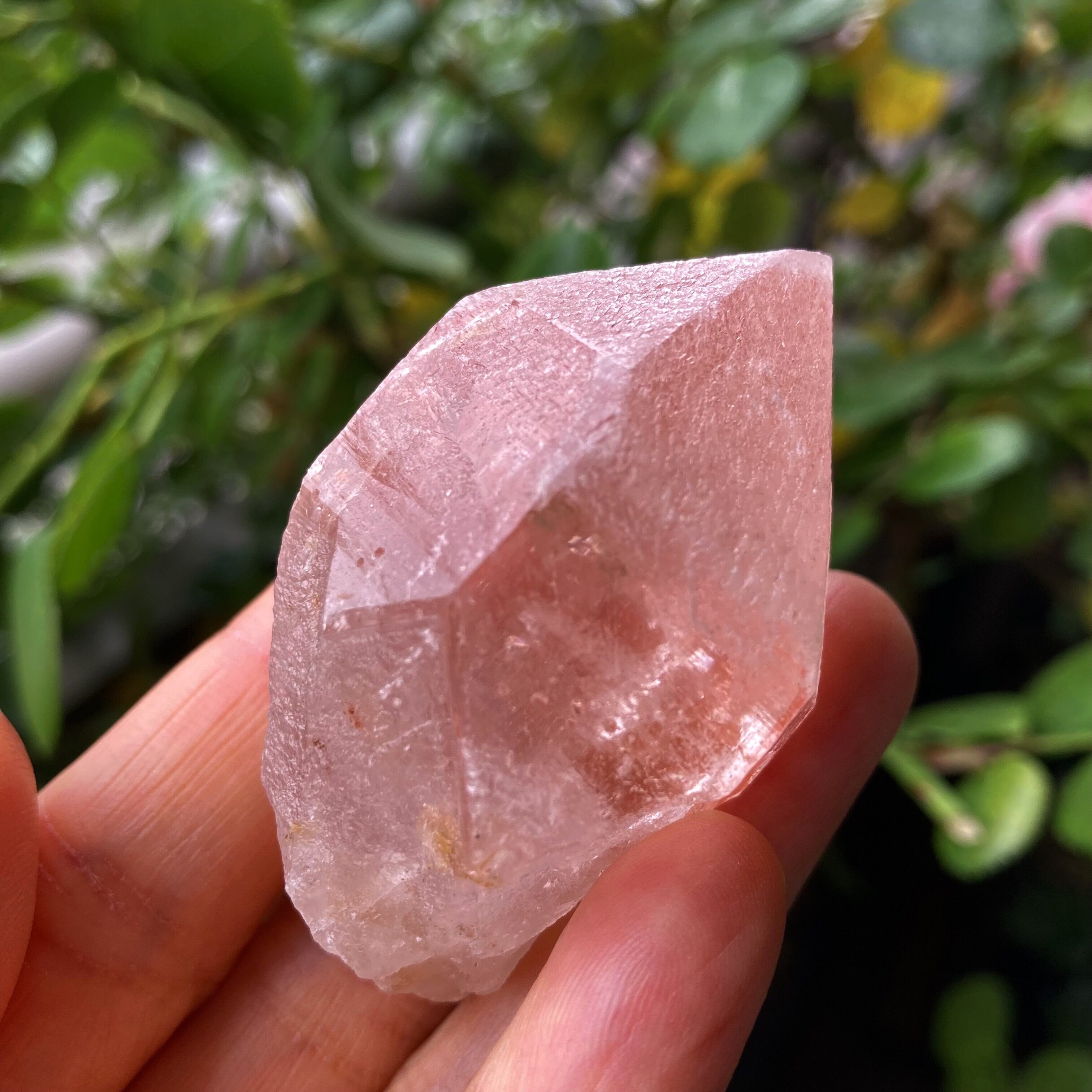 ピンクレムリアン　レムリアン　ドリームシクルレムリアン　ストロベリードリーム ピンクレムリアン レムリアン ドリームシクルレムリアン