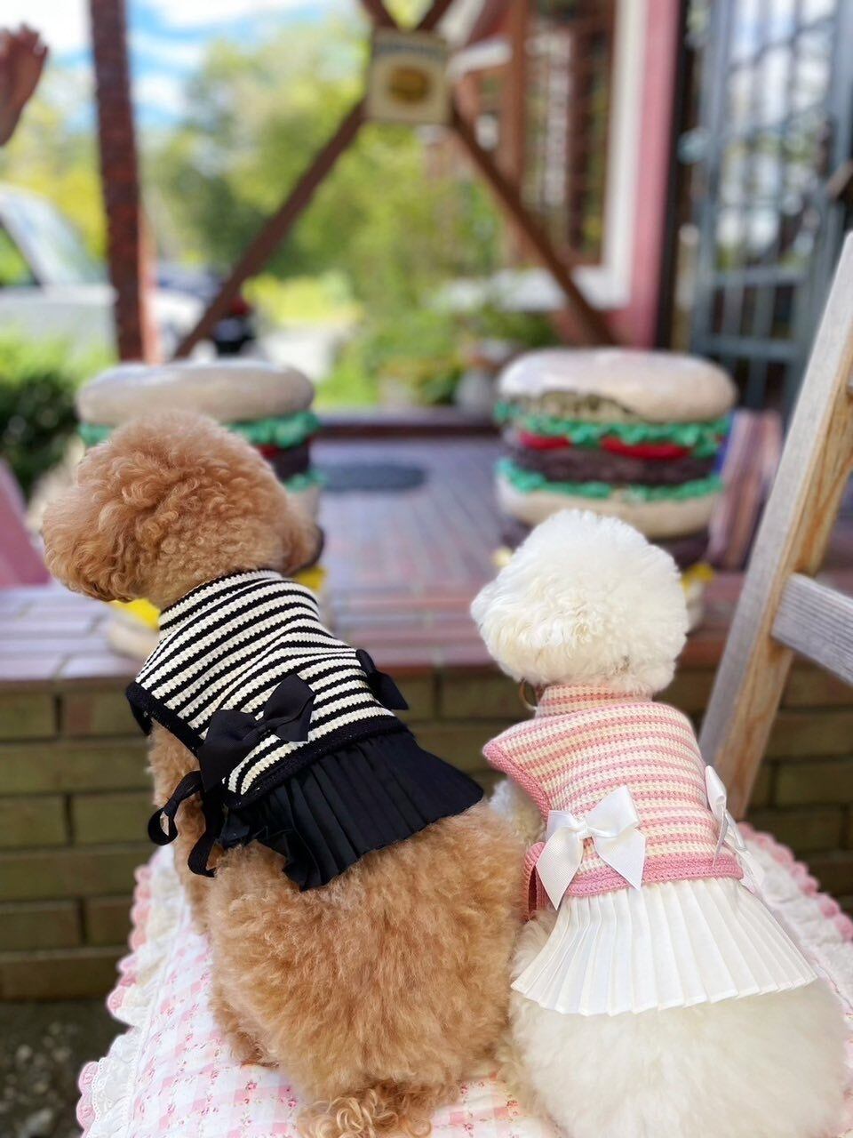 即納販売 Belle One Piece [montie] 韓国犬服 | Hirokke Atelier