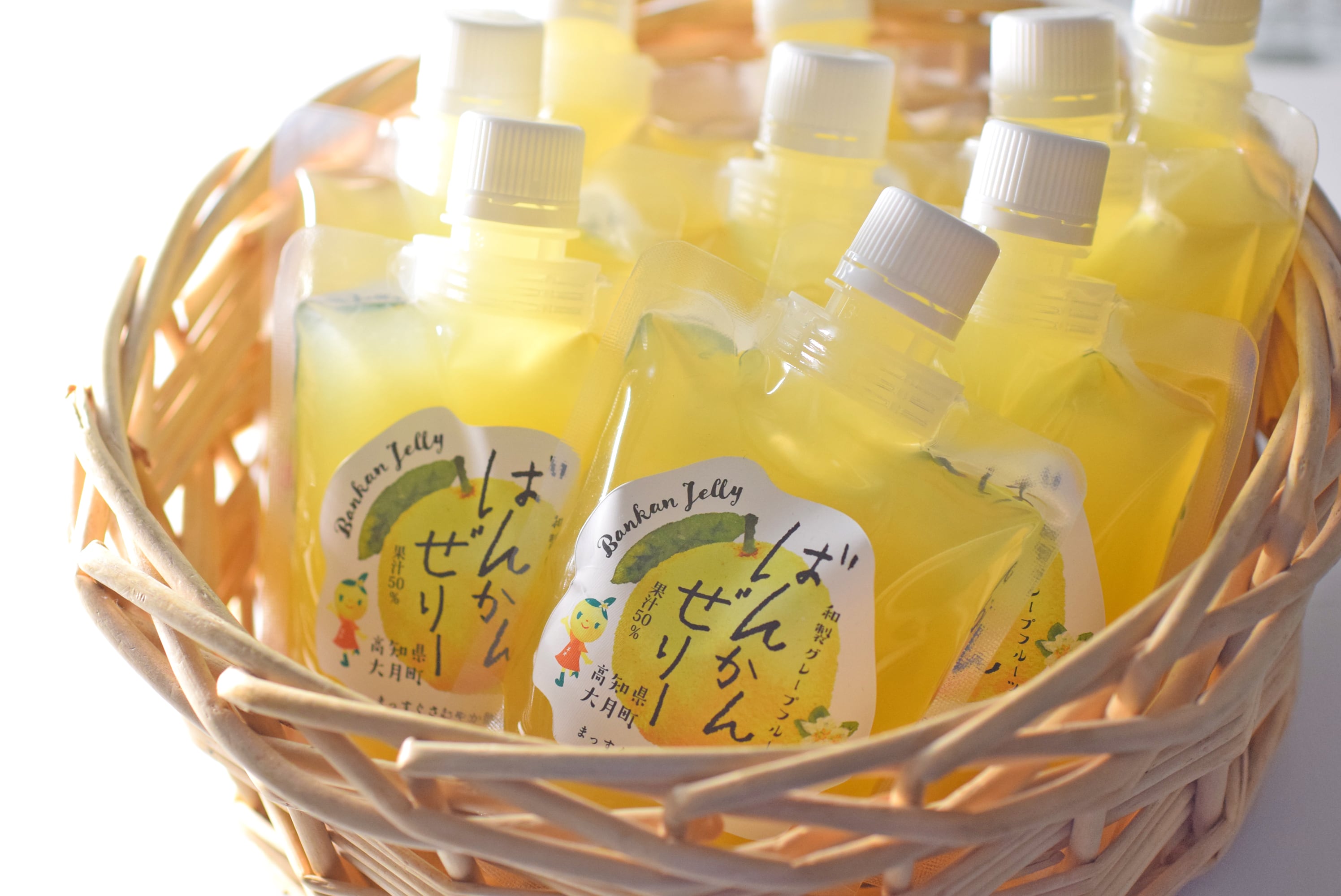 ふるさと納税 大月町 とろける濃厚チーズタルト16cm ふるさと納税碧い海の町のチーズケーキ(ホール15cm