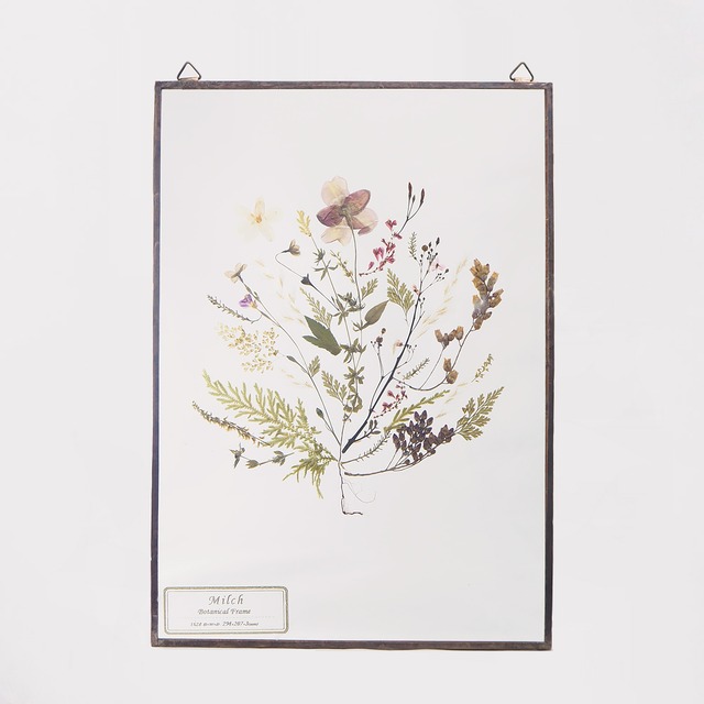 Botanical Frame L23 - Gold