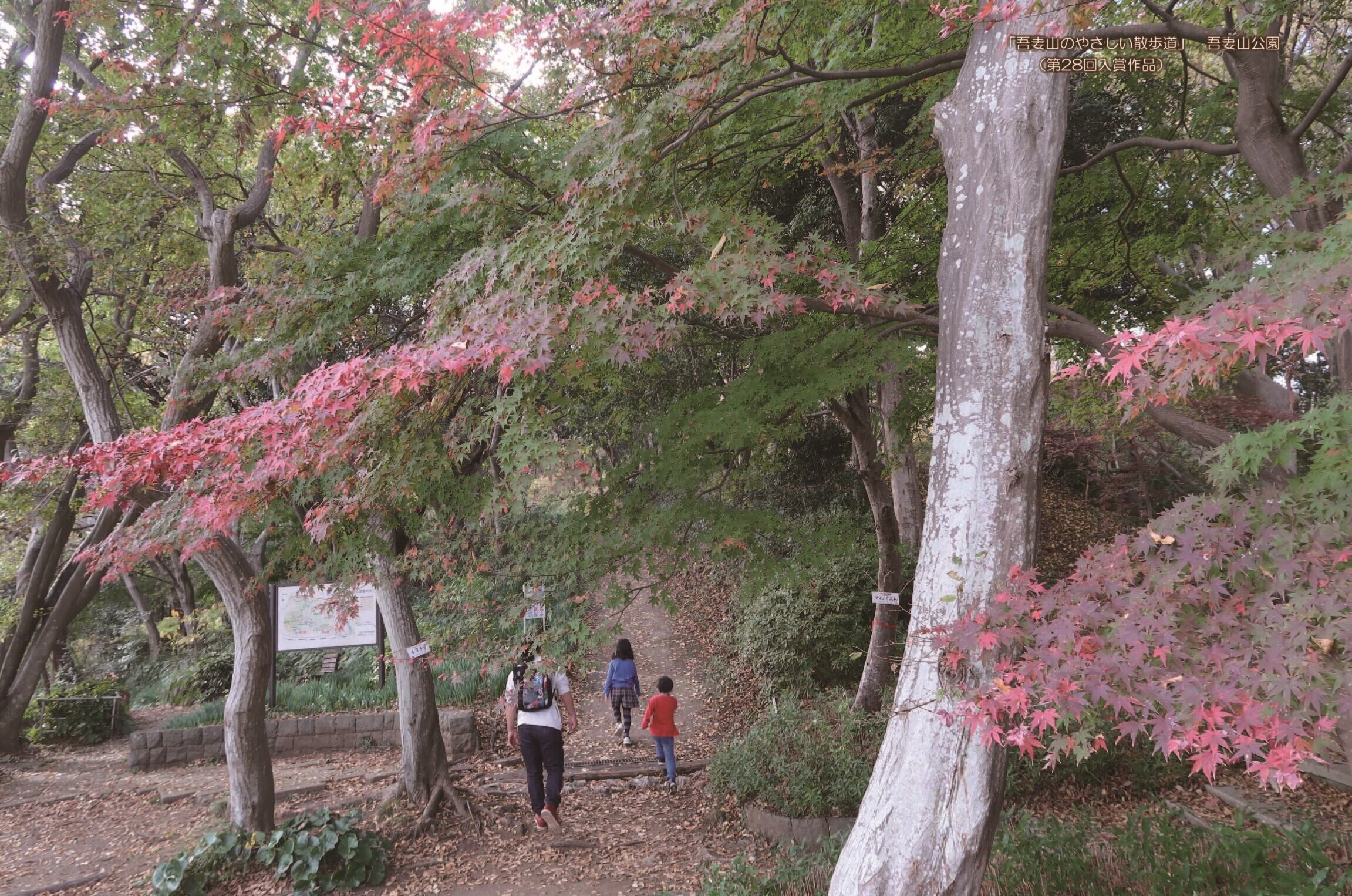 湘南にのみや観光カレンダー2026 <1冊から3冊まで 郵便配送＞ | 一般