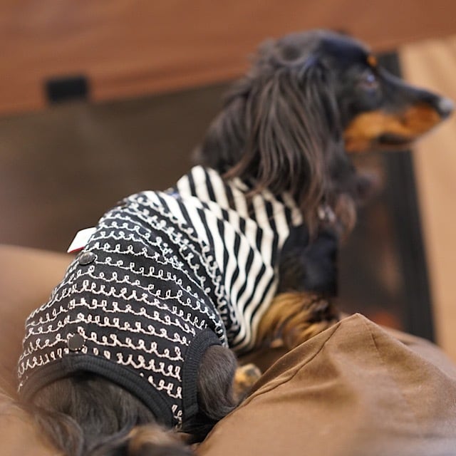 6d1208fb0544c6cb7596feecf39794