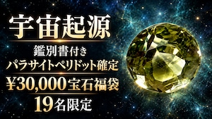 【19名限定】パラサイトペリドット確定 ¥30,000福袋［No.K-878］