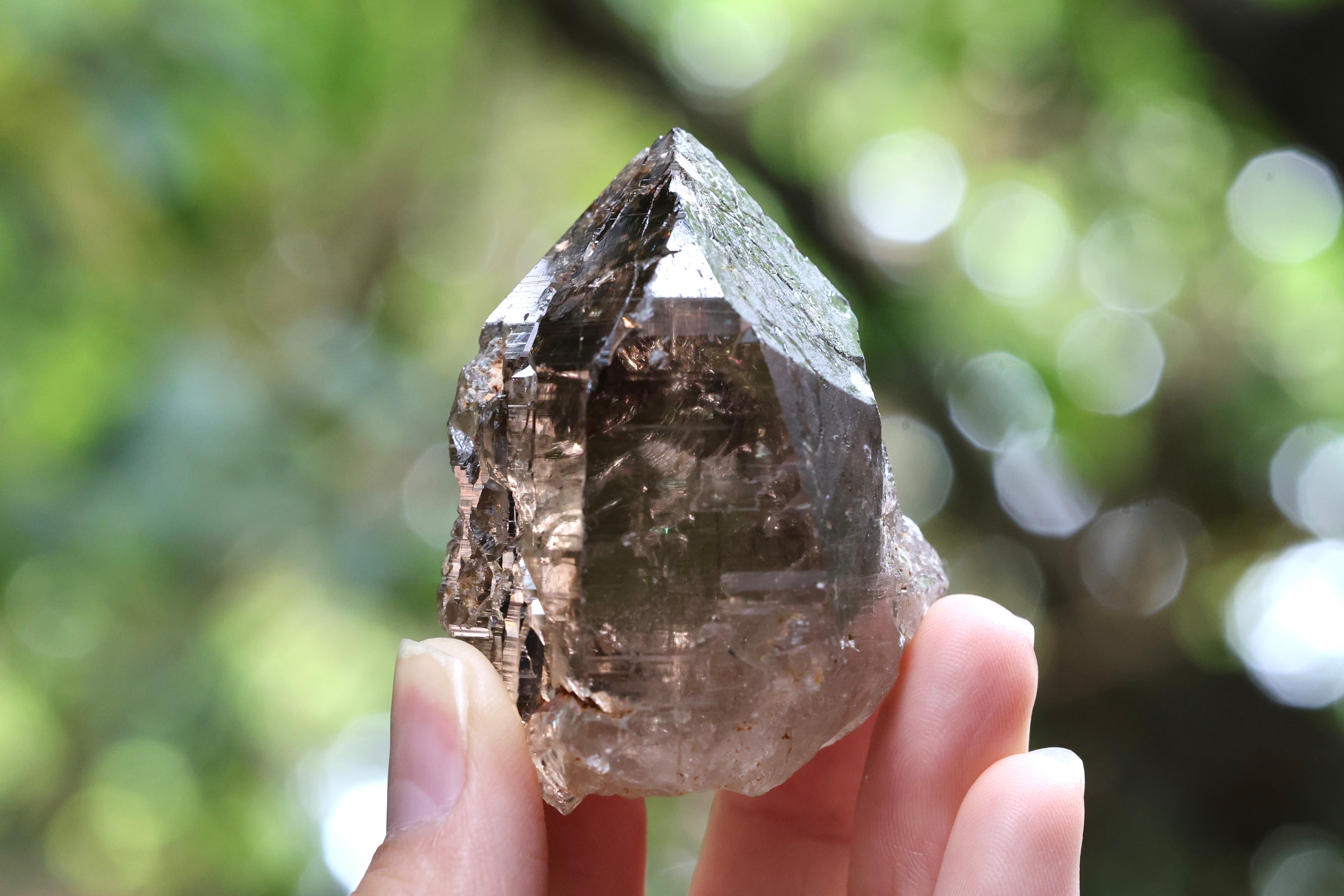 ガウリシャンカール産 | 石垣島の夜光貝アクセサリーとヒマラヤ水晶の