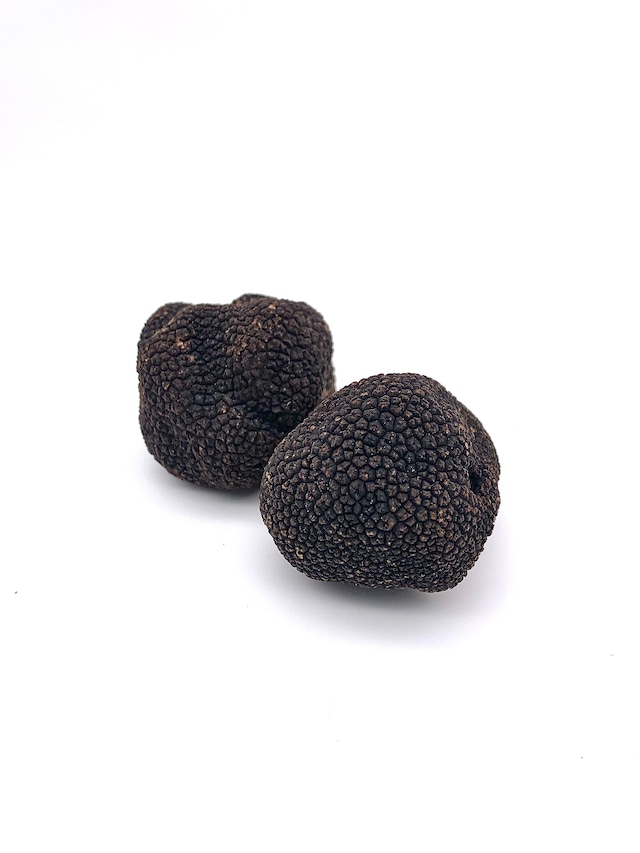 FRESH SUMMER TRUFFLE(50g)