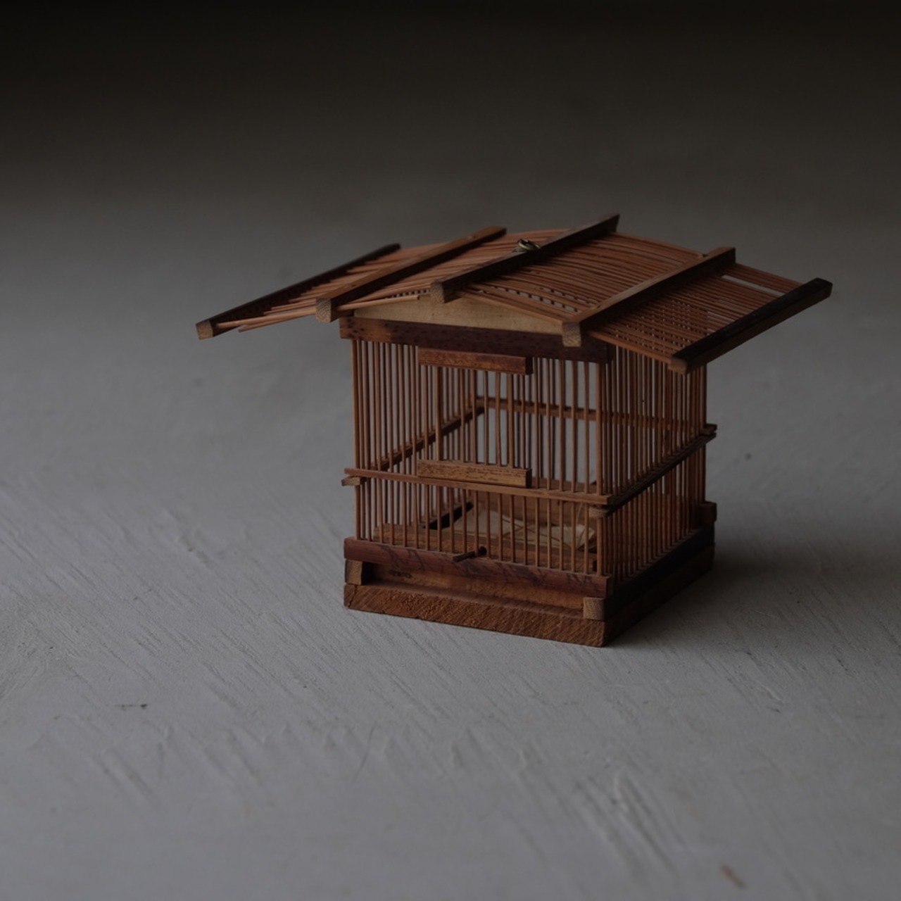 Insect cage