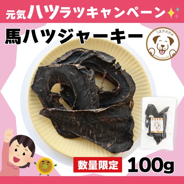 【月間お買い得】馬ハツジャーキー100g 28.3.30数量限定)