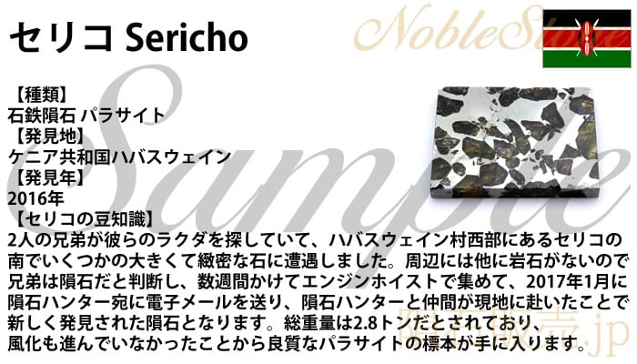 セリコ 10.6g スライス 標本 石鉄 隕石 パラサイト Sericho No.7 