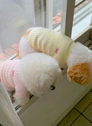 【seenii】slow knit top (butter)