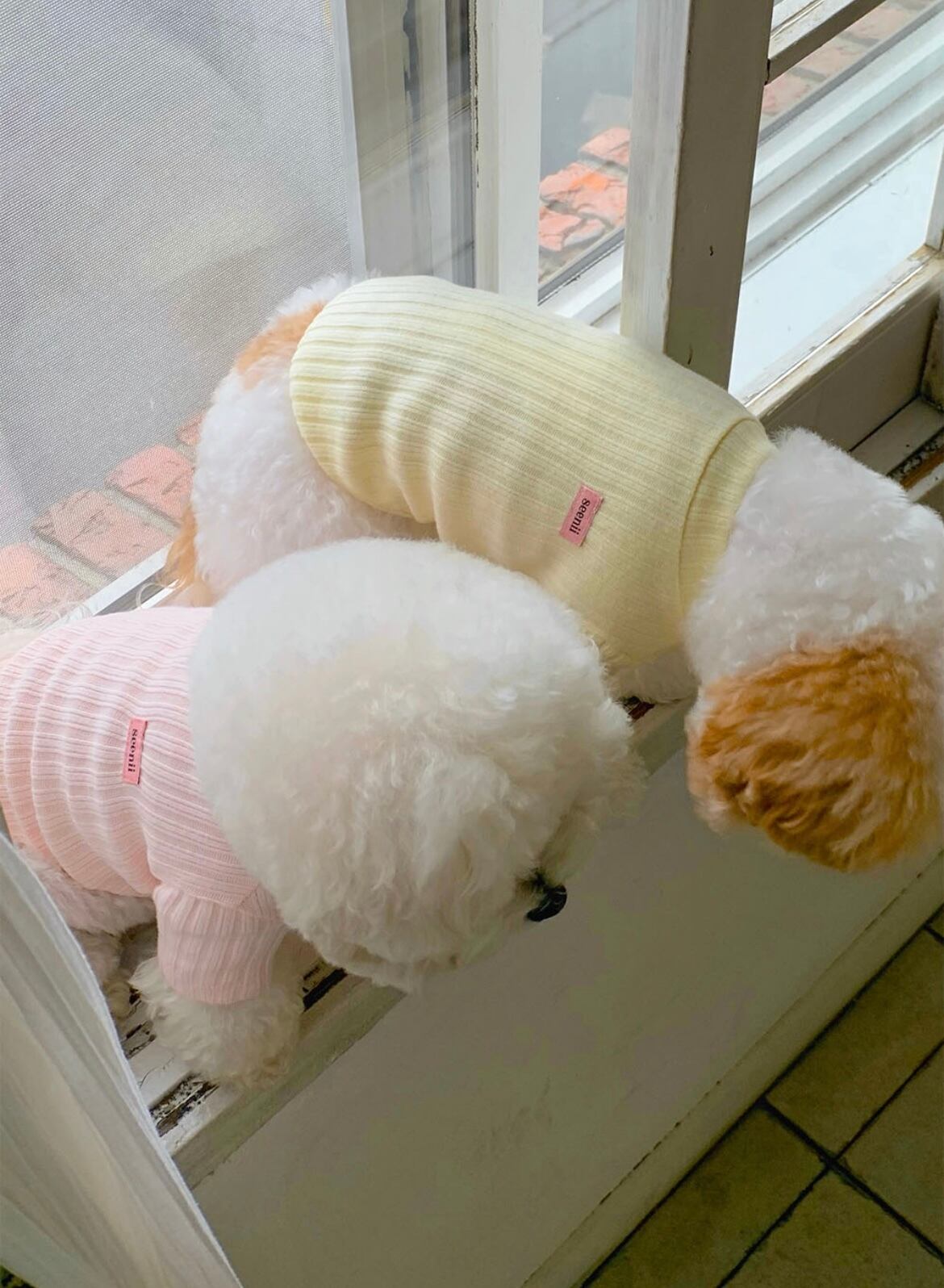【seenii】slow knit top (butter)