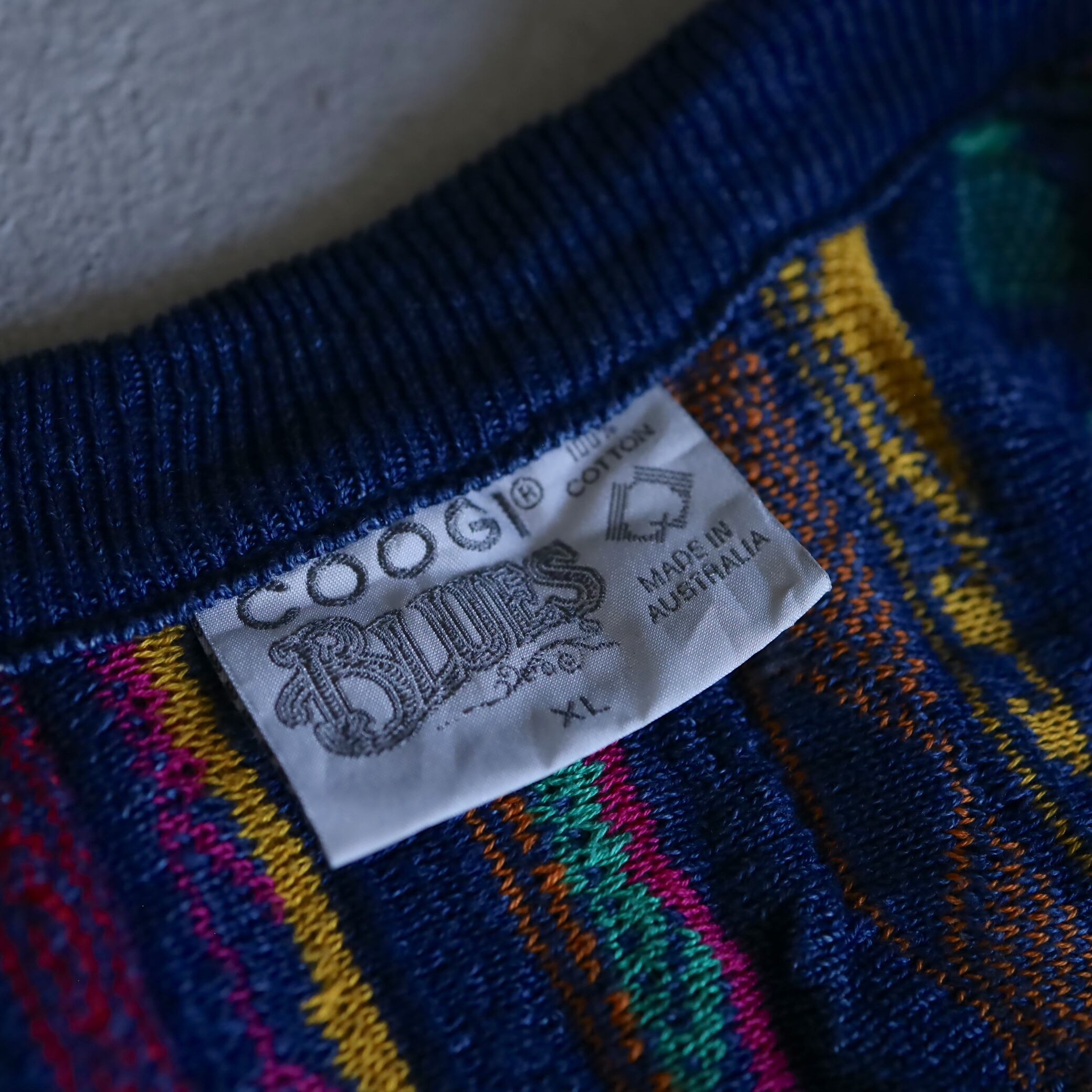 COOGI BLUES 