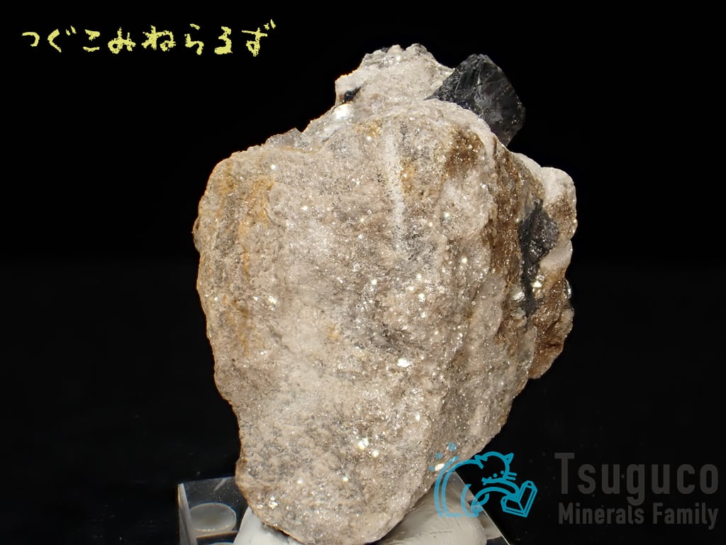 キャシテライト 錫石 Cassiterite スペイン TM-0023