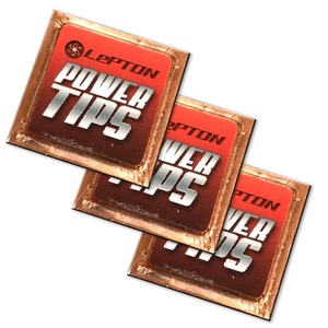 レプトンパワーチップス３個セット 燃費 向上 グッズ 車 パワーアップ トルク アップ 静電気 除去 チューニングパーツ