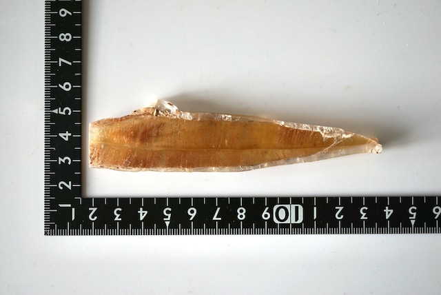 スペイン産バイカラーセレナイト Selenite 1076