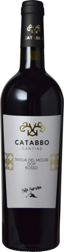 モリーゼ州といえば、ティンティリア！