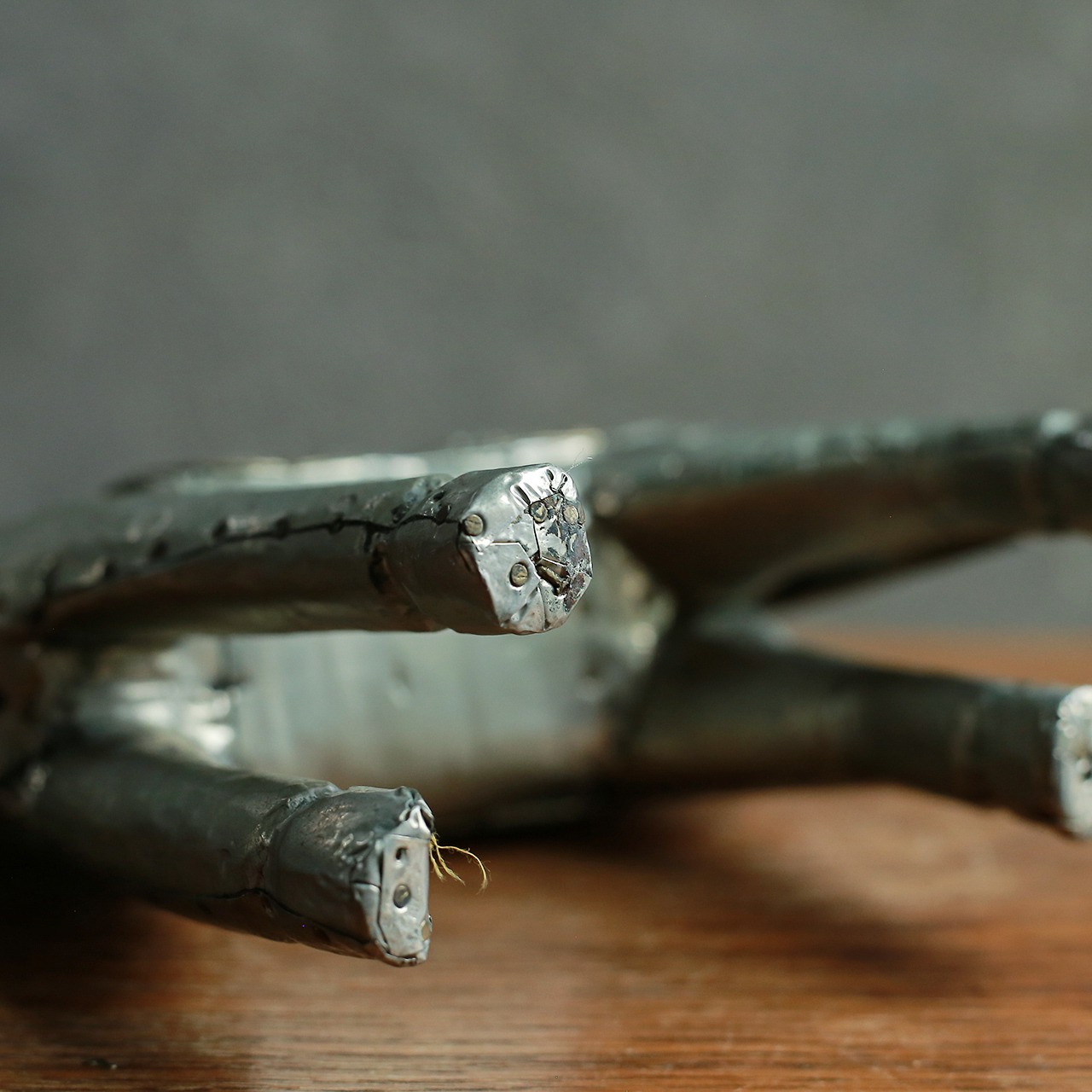 手放したくないほど美しい馬 14