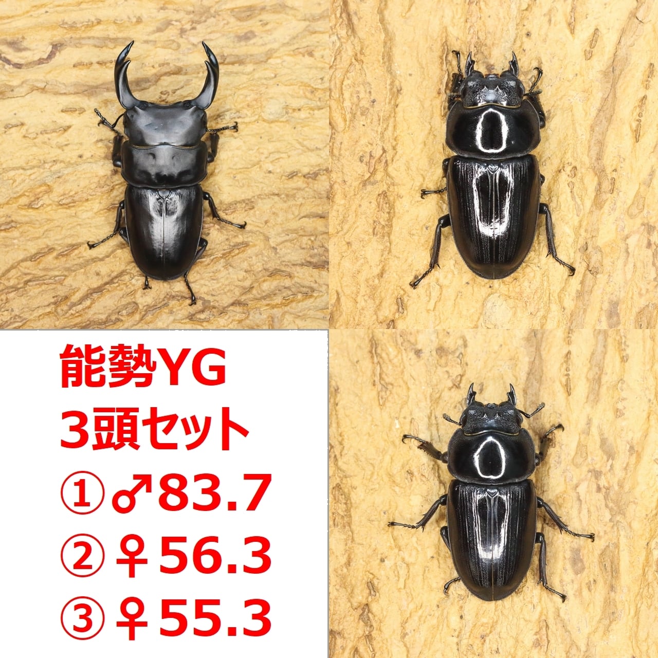 6d27fe063e8f3ad42dd7b4e972c396