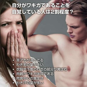 天然成分ボディ消臭 アルティクール 20ml ワキガ対策 デリケートゾーン 臭い対策 足臭対策に最適！