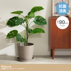 光触媒人工観葉植物 モンステラ 幅50cm×奥行50cm×高さ90cm