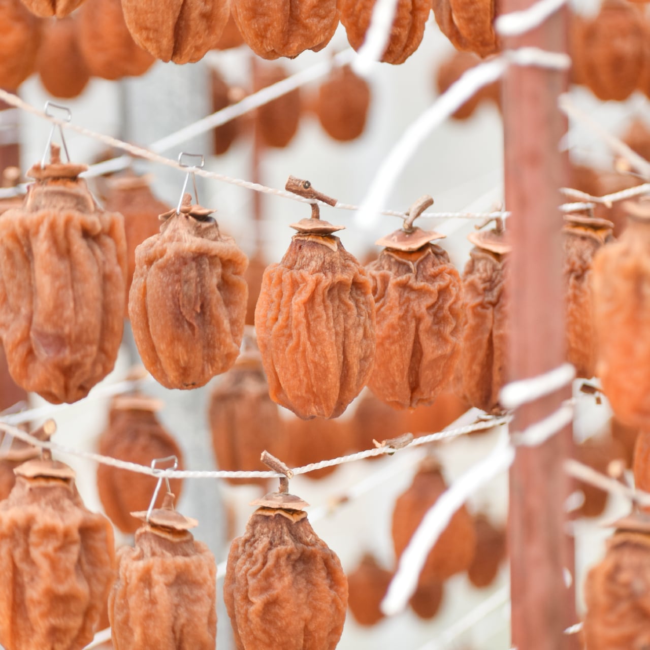 販売個数 1万3千個突破！祇園坊柿饅頭（8個箱入り） | あきおおたから