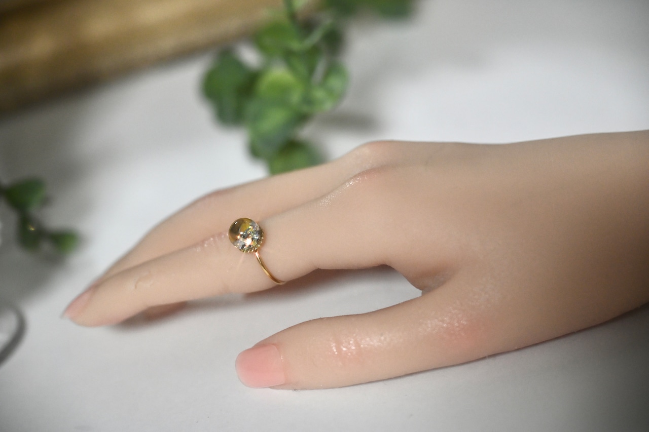 【ねこLumièreリング抽選受付中】payID専用告知